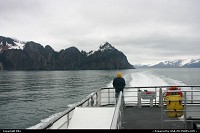 Photo by elki |   cruise, boat, glacier, bear