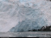 Photo by WestCoastSpirit |  Denali glacier, wild, sea, cruise