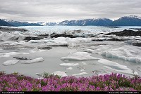 A labyrinth of icebergs in Lake George, a glacial lake formed near the face of Knik Glacier, located just 50 miles north of Anchorage.