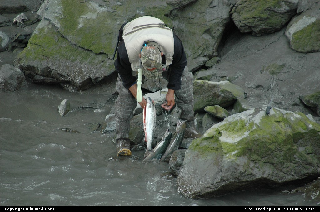 Picture by Albumeditions: Not in a City Alaska   Alaska Fishing