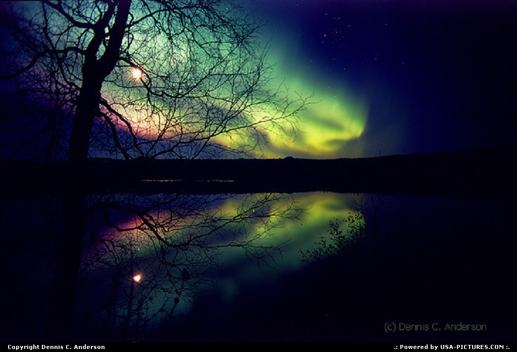 Picture by Dennis C. Anderson: Not in a city Alaska   aurora