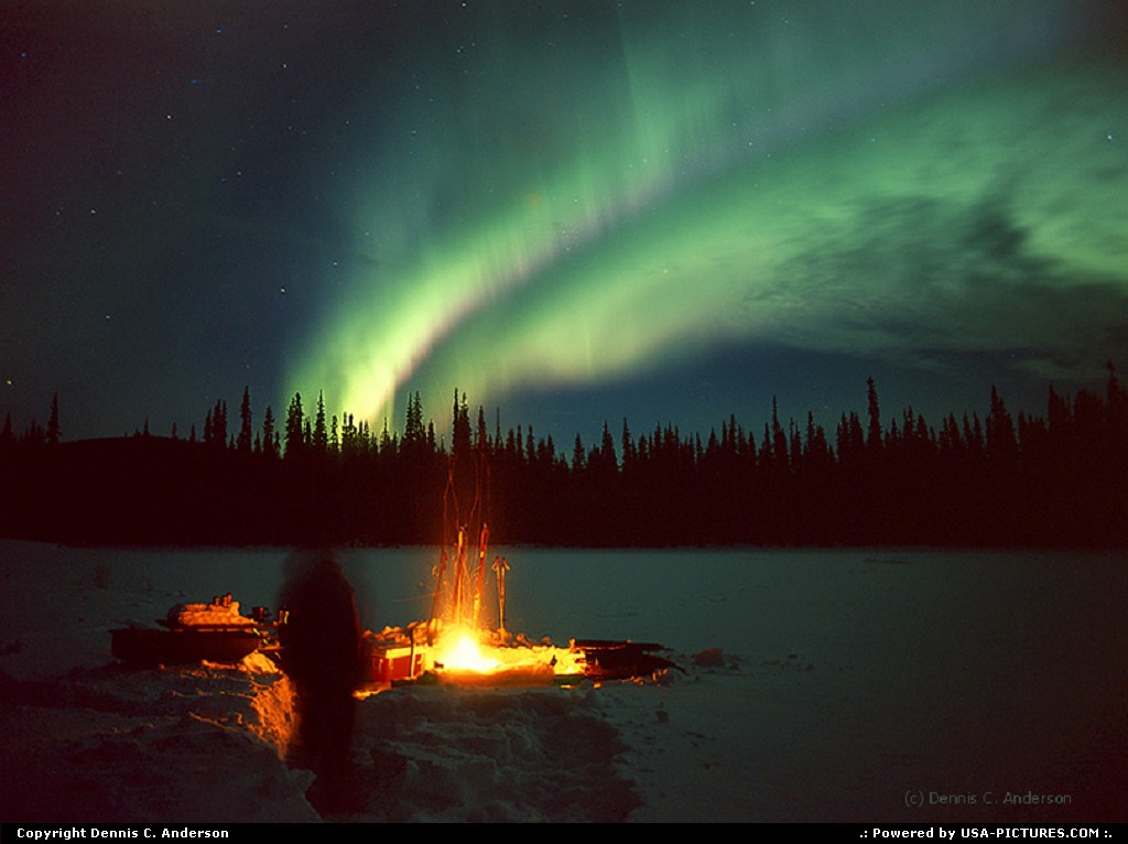 Picture by Dennis C. Anderson: Not in a city Alaska   northern lights aurora