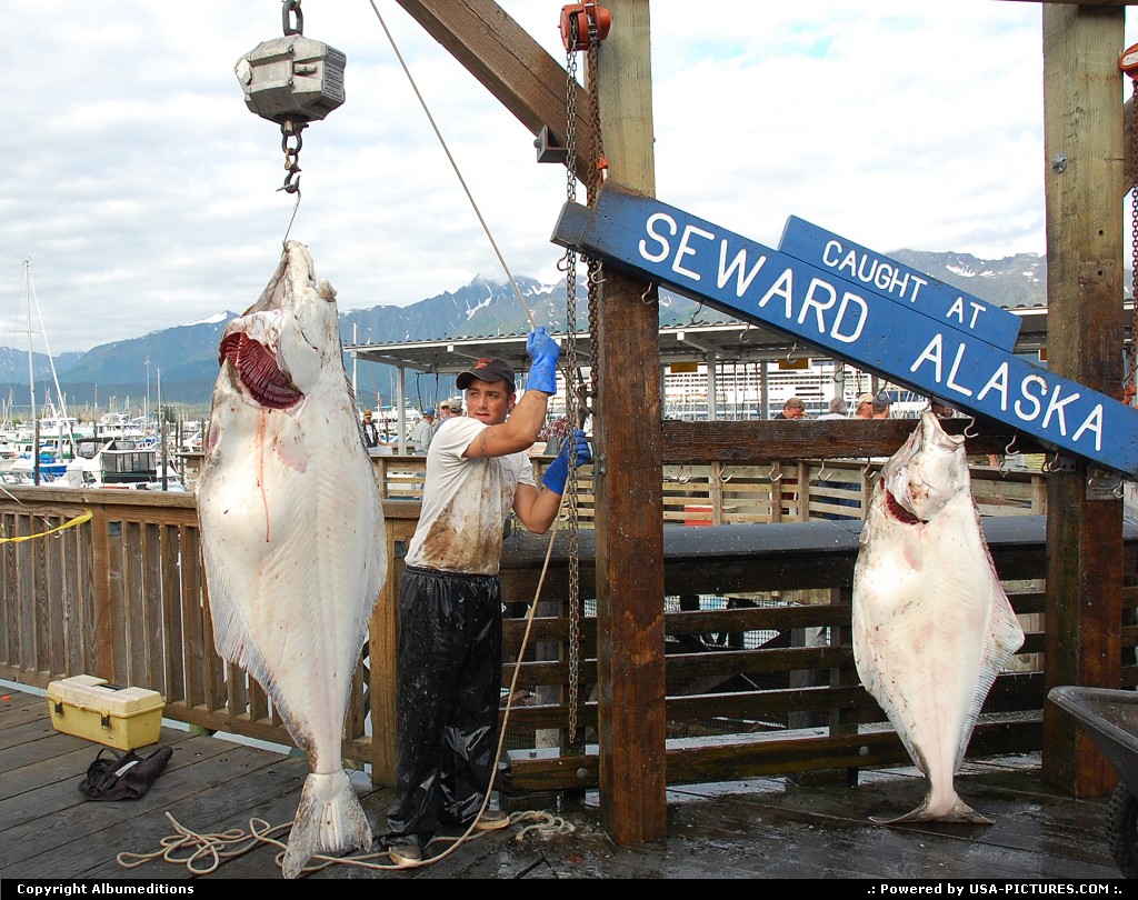 Picture by Albumeditions: Seward Alaska   Alaska, Seward