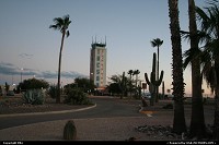 Photo by elki | Tucson  cactus, palms, ATC, TUS, airport