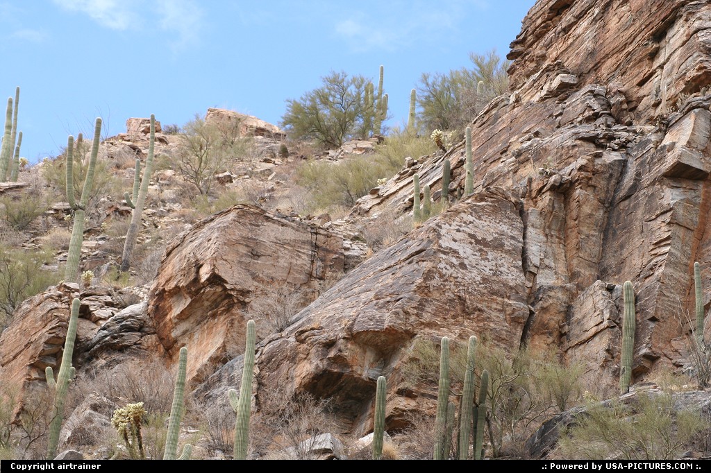 Picture by airtrainer: Hors de la ville Arizona   Sabino Canyon, Tucson, cactus