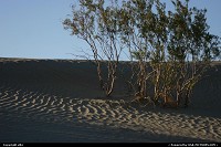 Death Valley : Death valley