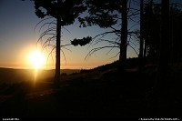 Photo by elki |  Redwood sunset, forest