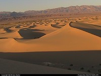 Death Valley national park: Dunes at Death Valley National Park