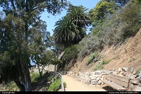 Hors de la ville : Julia Pfeiffer Burns state parc, le long de la route 1 en californie
