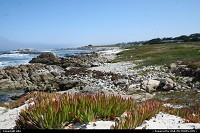 Hors de la ville : 17 mile drive is following the coast from Carmel to Monterey. It is a toll road. Anyway it is really scenic. 