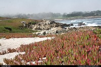 17 mile drive is following the coast from Carmel to Monterey. It is a toll road. Anyway it is really scenic.