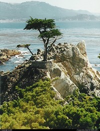 Monterey Park : 