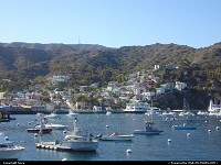 Not in a City : Catalina Island