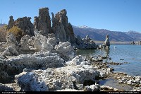 Not in a city : Formation de Calcium au Mono Lake, Califnornie