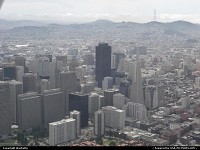 view by plane of san francisco