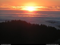 Photo by WestCoastSpirit |  Redwood sunset, forest