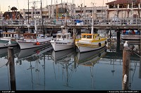 San Francisco : fishermanwharf