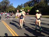 The vibrant and eclectic crowd during Bay to Breakers race. Nice race, amazing place and a lot of San Francisco spirit, not to mention some nudity, as expected !