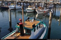 San Francisco : fisherman wharf - san francisco californie