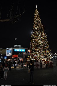 , San Francisco, CA, fishermanswharf PIER 39 christmas tree