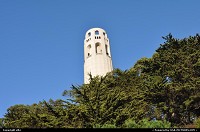 San Francisco : coit tower