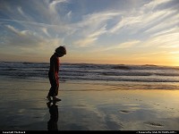 Searching in the sand, Ocean Beach, San Francisco