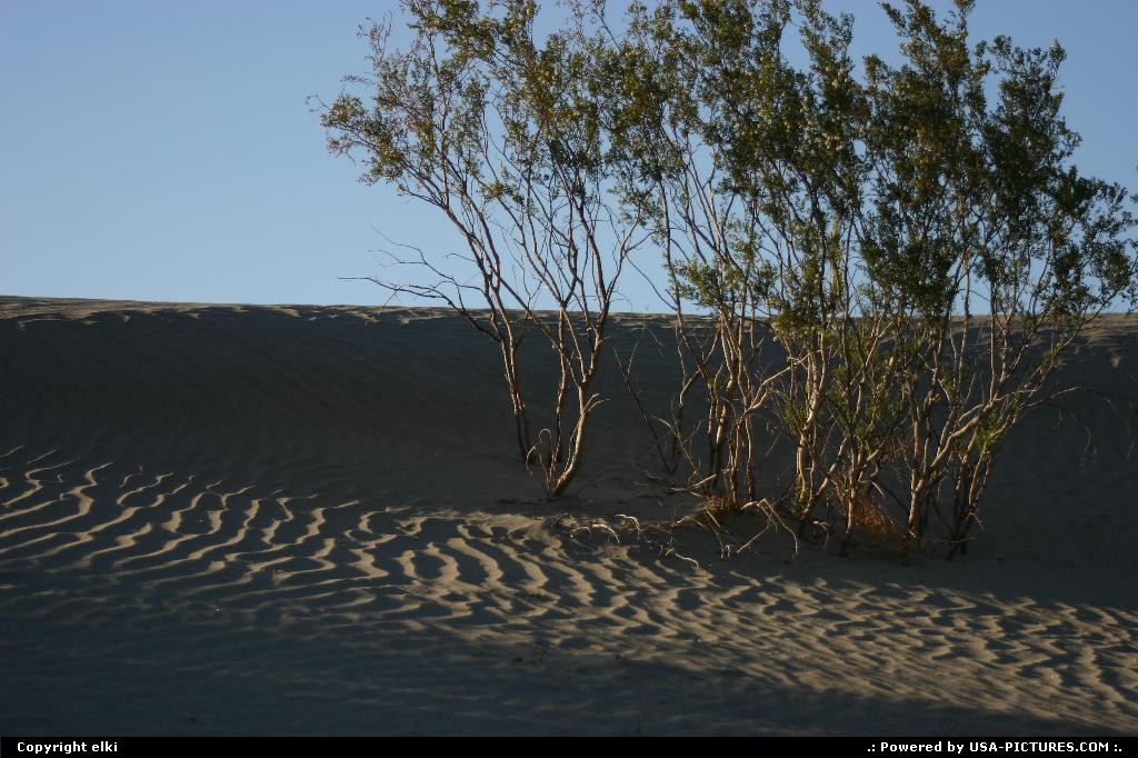 Picture by elki:  California Death Valley Sand Dunes sand dunes vallée de la mort Death valley