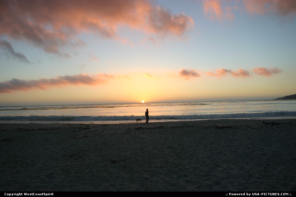 Picture by WestCoastSpirit: Carmel California   beach, dog, sunset