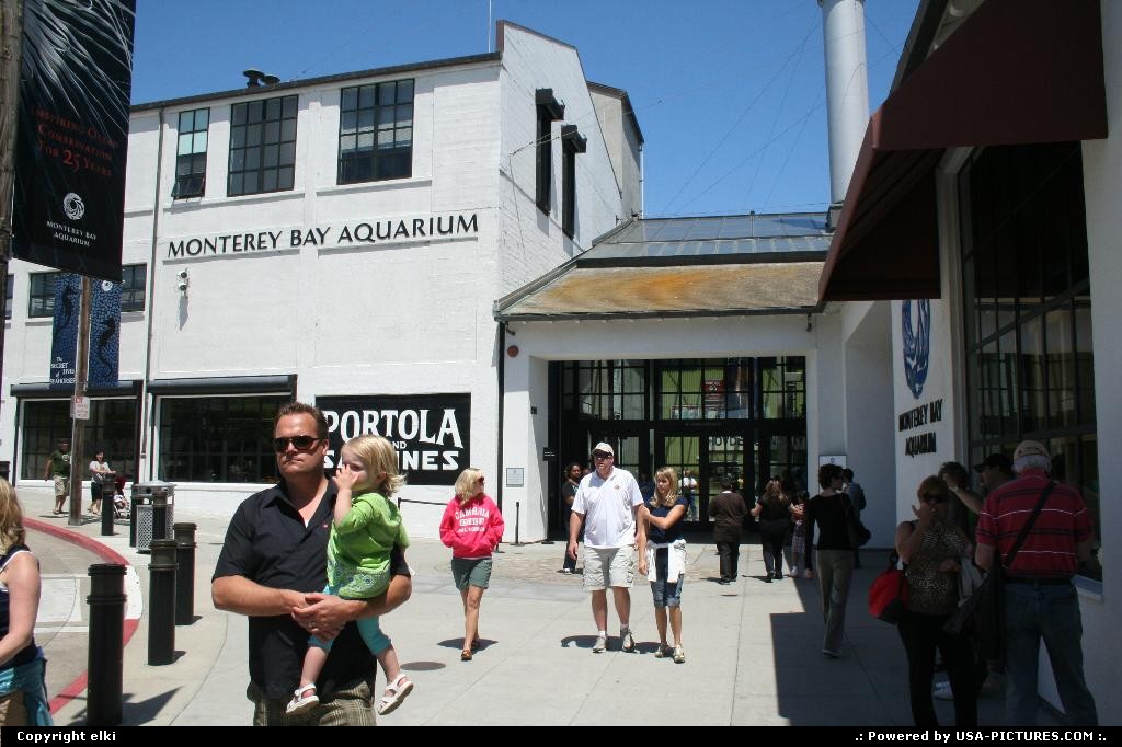 Picture by elki: Monterey California   monterey aquarium