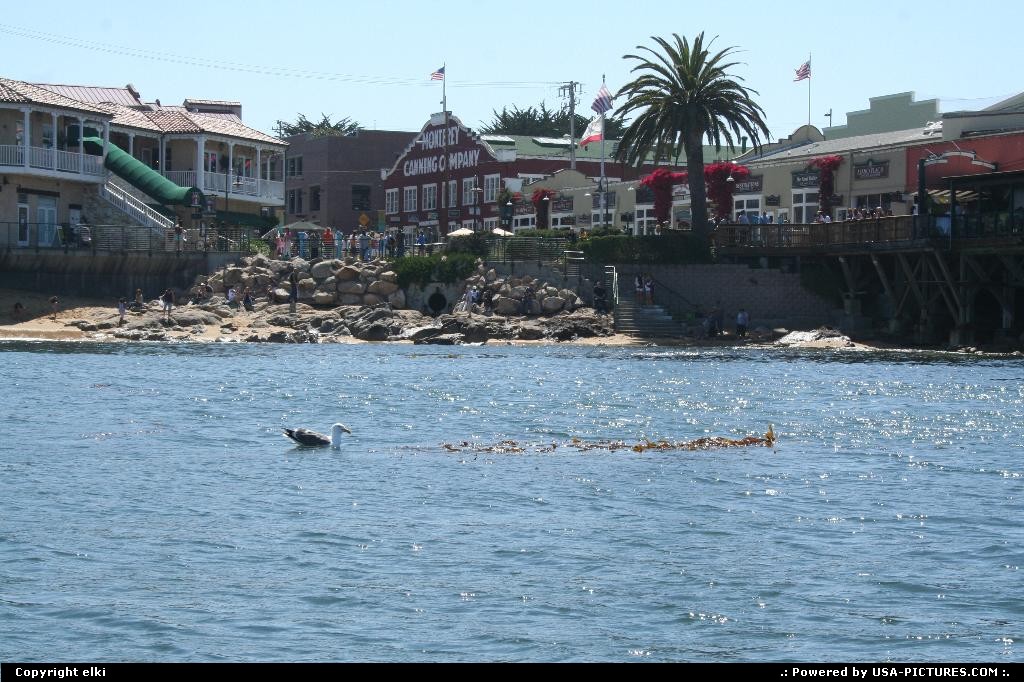 Picture by elki: Monterey Californie   monterey sea kayak