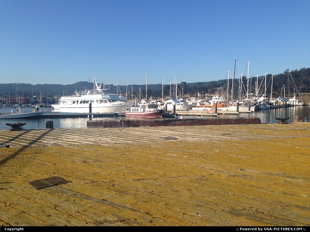 Picture by WestCoastSpirit: Monterey California   sea lion, boat, beach, port