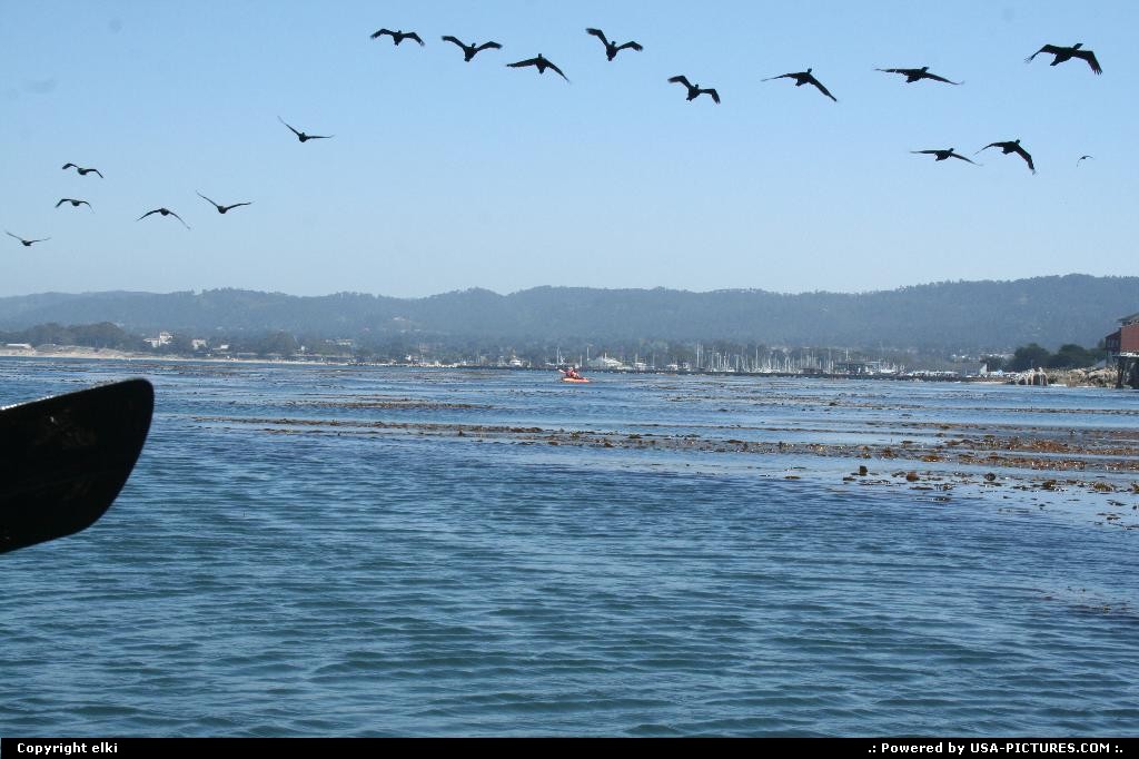 Picture by elki: Monterey California   monterey bay