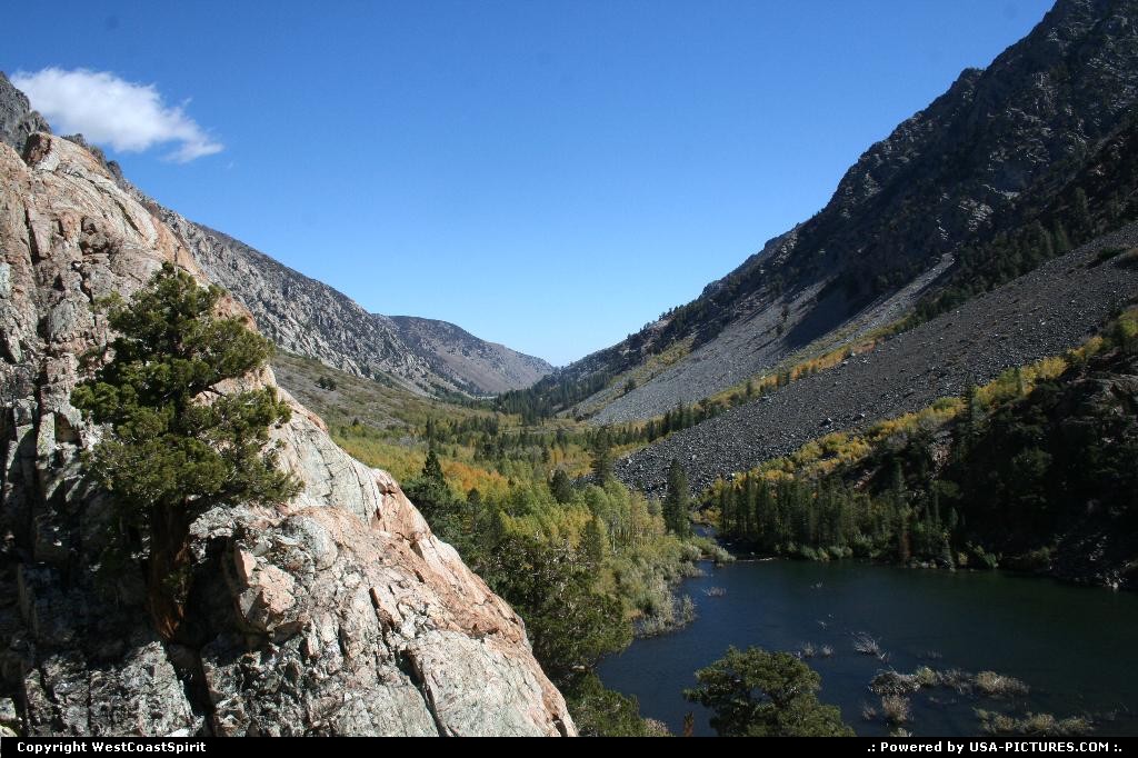 Picture by WestCoastSpirit: Not in a city California   yosemite, mono lake, mammoth lakes, aspen tree