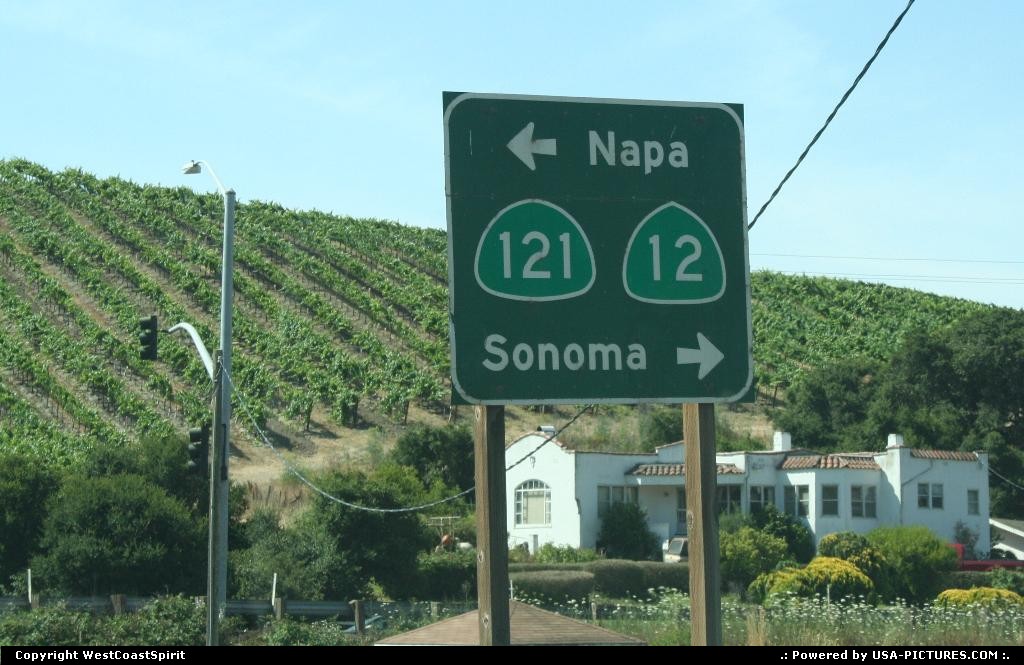 Picture by WestCoastSpirit: Not in a city California   napa, sonoma, wine, vine, vineyard, grappe, cabernet, merlot