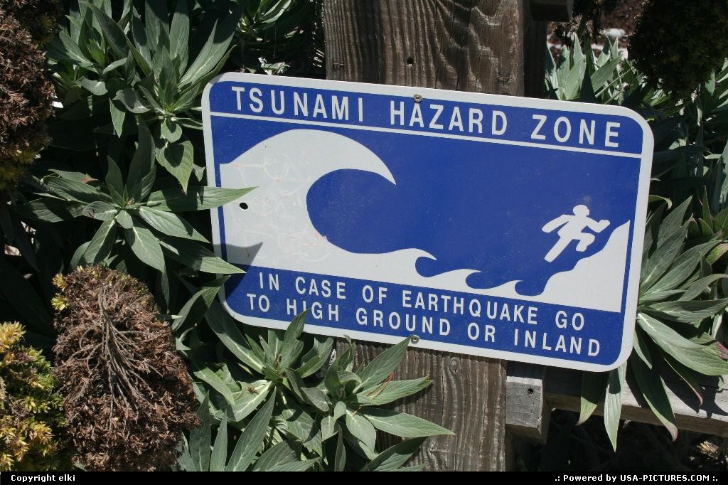 Picture by elki: Pacific Grove California   pacific grove tsunami hearthquake