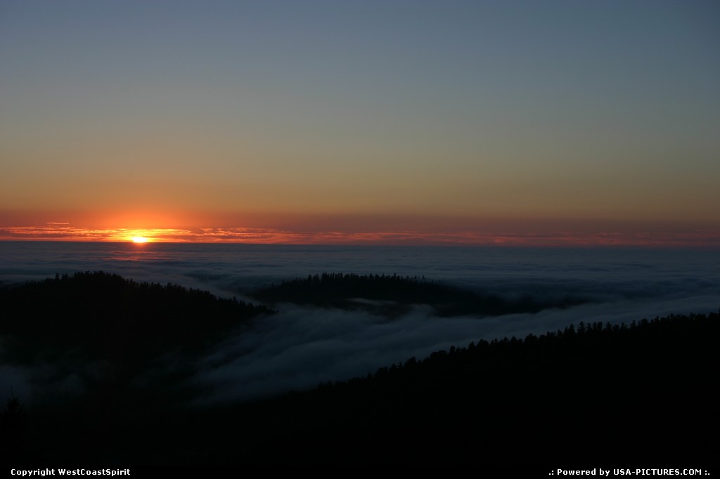 Picture by WestCoastSpirit:  Californie Redwood  coucher de soleil, mer, nuages