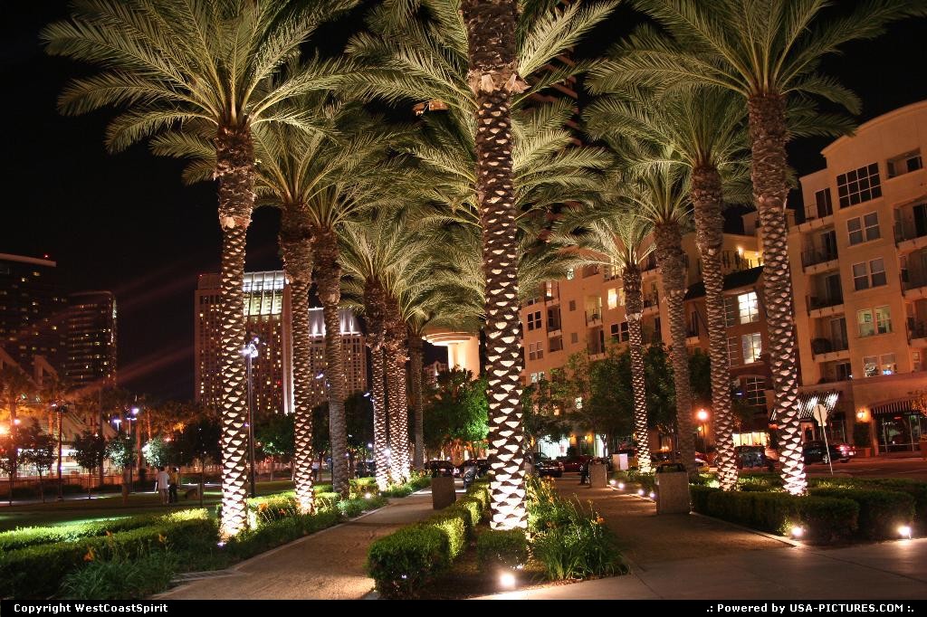 Picture by WestCoastSpirit: San Diego California   palms, summer, hilton, hotel