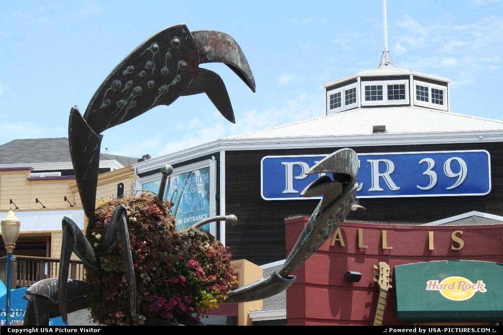 Picture by USA Picture Visitor: San Francisco Californie   crabe, poisson, fruits de mer, pier 39