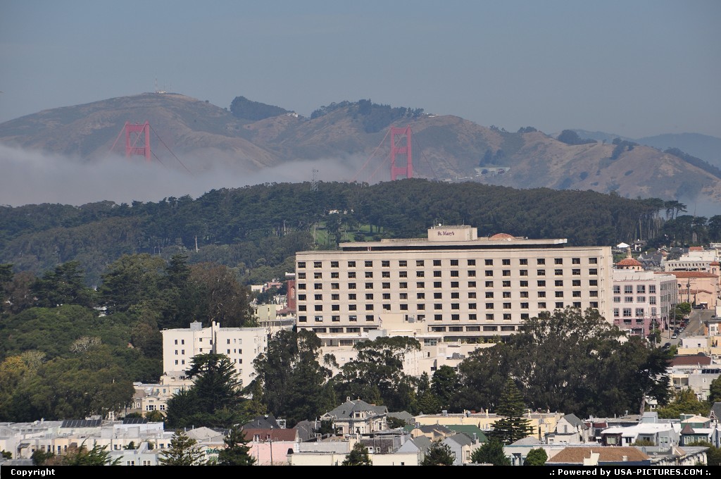 Picture by WestCoastSpirit: San Francisco California   golden gate park, presidio, sfo, bridge
