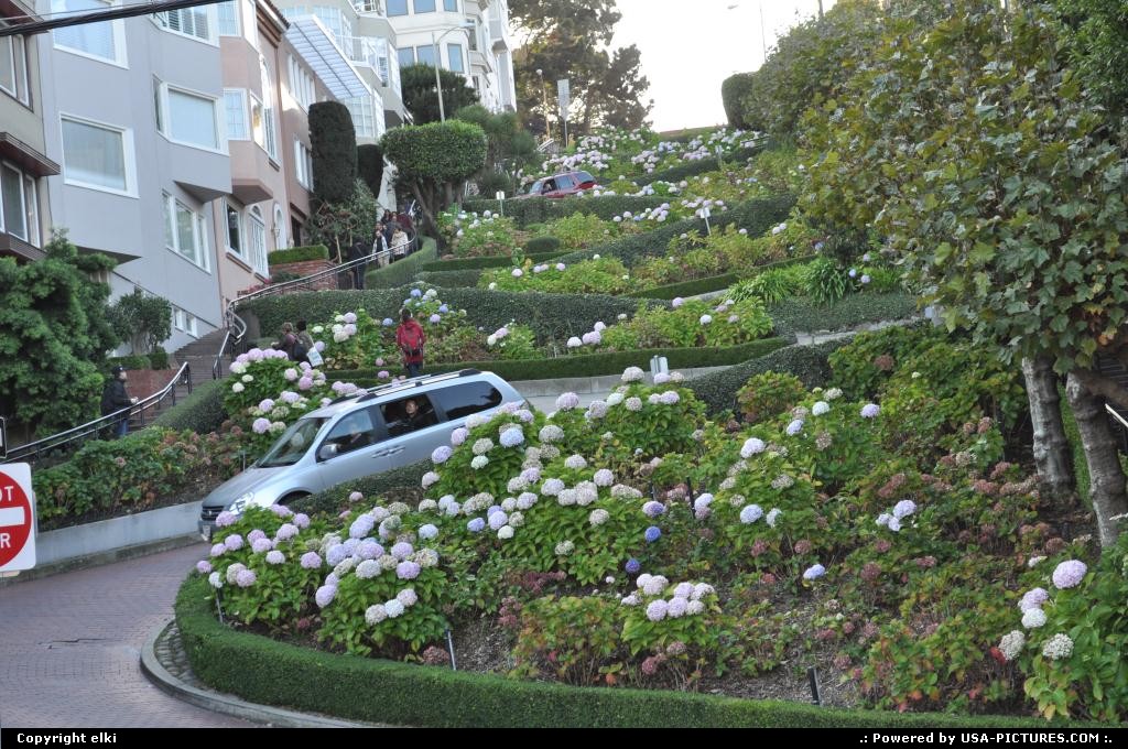 Picture by elki: San Francisco California   lombard street