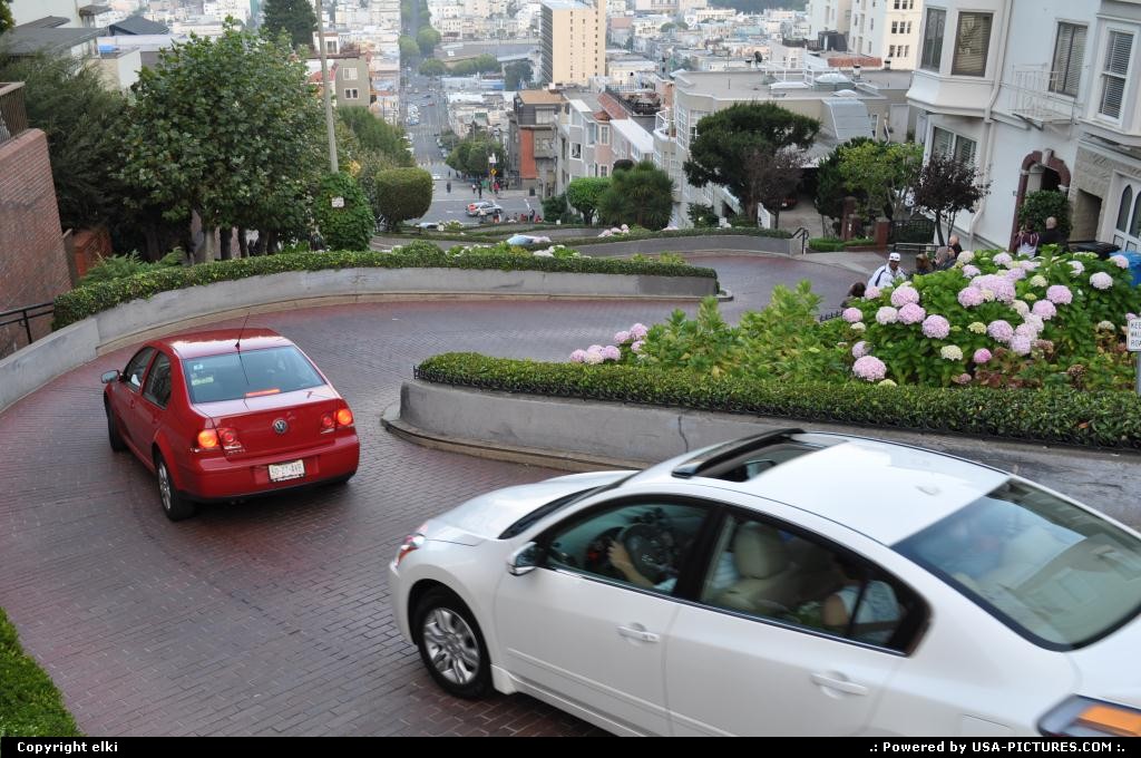 Picture by elki: San Francisco California   san fransisco california lombard street