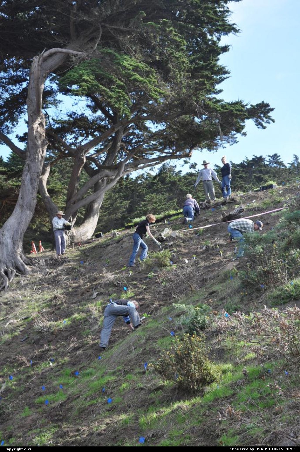 Picture by elki: San Francisco California   coastal trail, volunteer