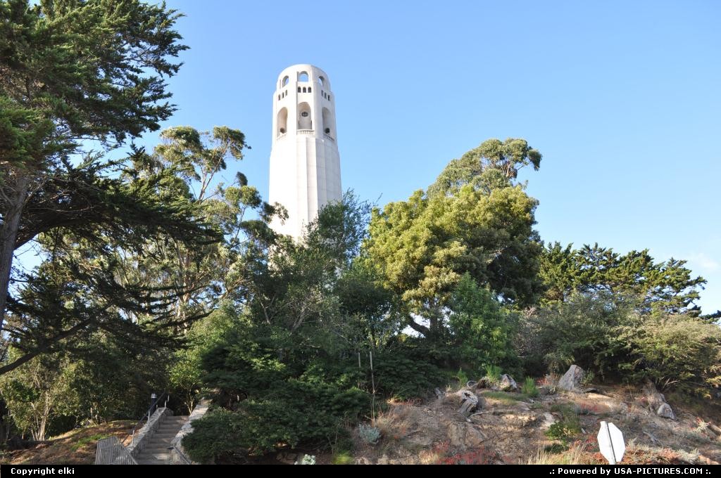 Picture by elki: San Francisco California   coit tower