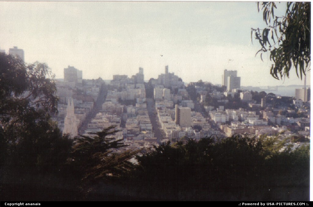 Picture by ananais: San Francisco California   