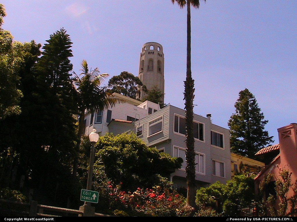 Picture by WestCoastSpirit: San Francisco California   tower, coit, hill