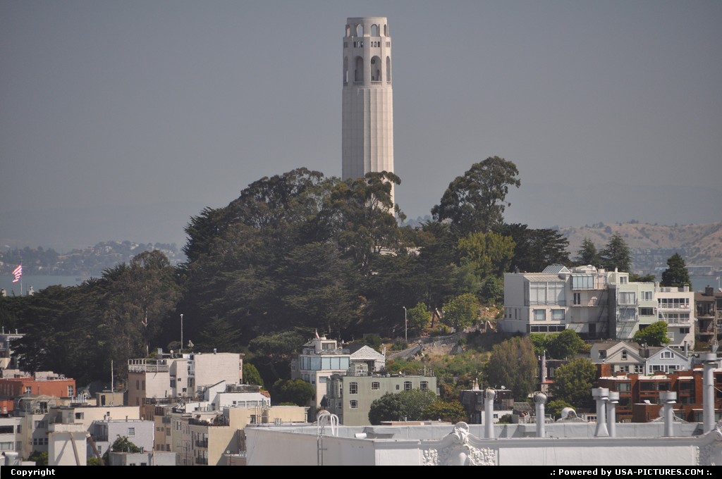 Picture by elki: San Francisco California   San Francisco Coit Tower