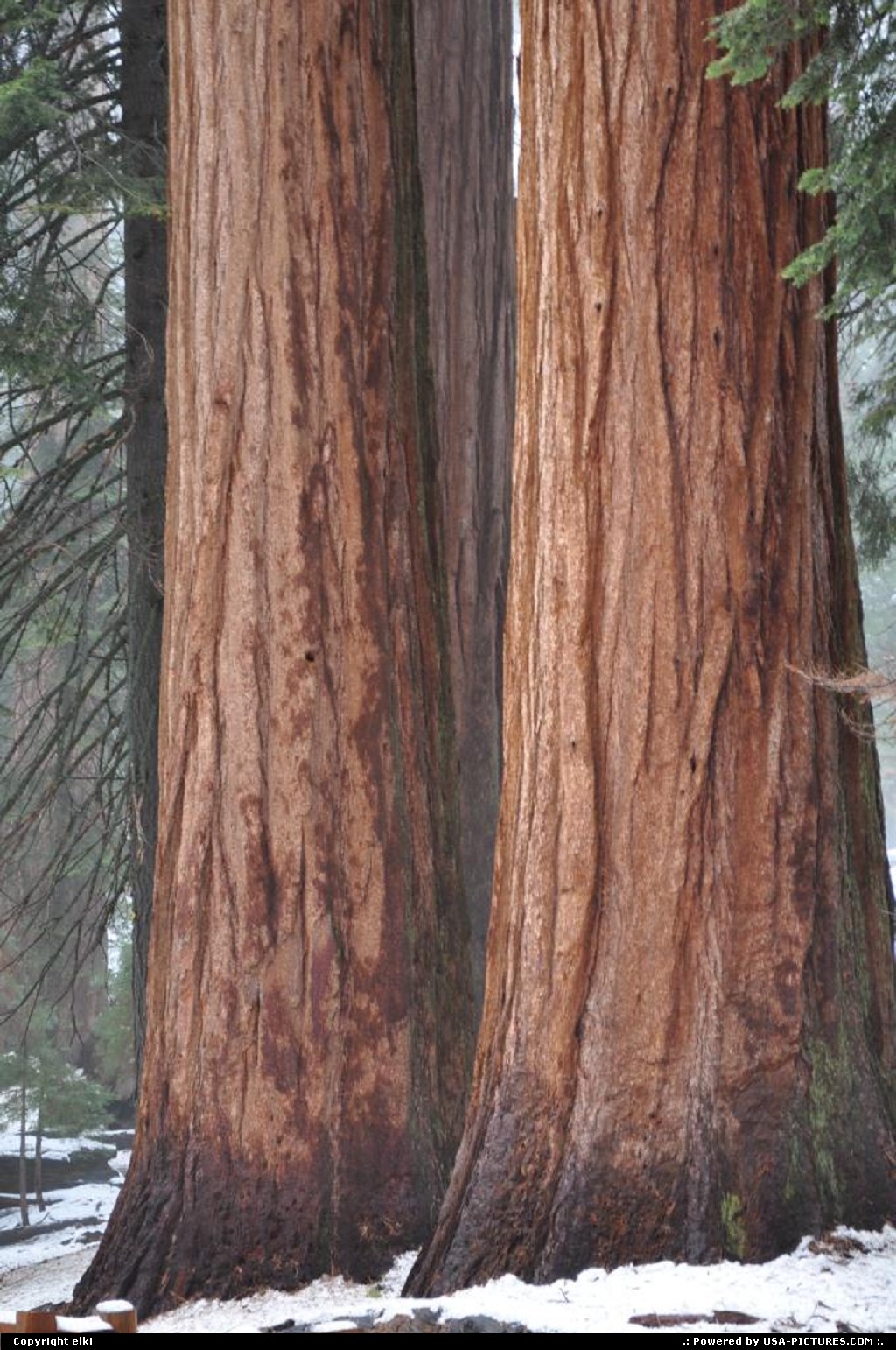 Picture by elki:  Californie Sequoia  Sequoia National park