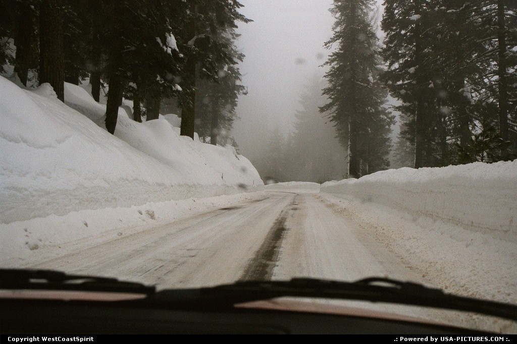 Picture by WestCoastSpirit:  California Sequoia  car, snow, winter