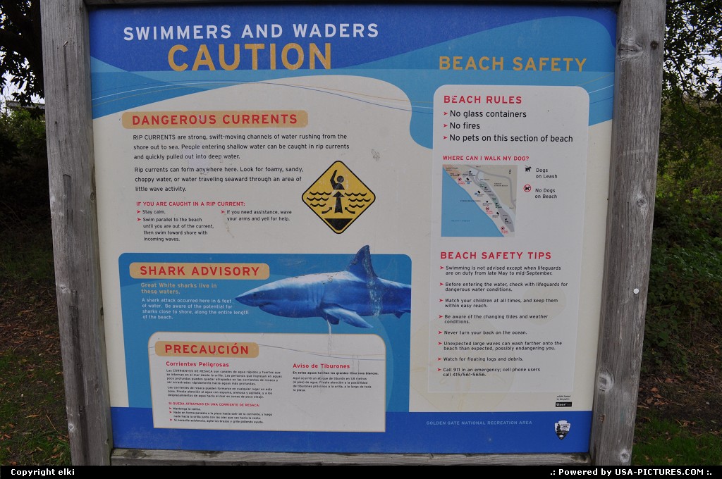 Picture by elki: Stinson Beach California   sharks, stinson beach, california