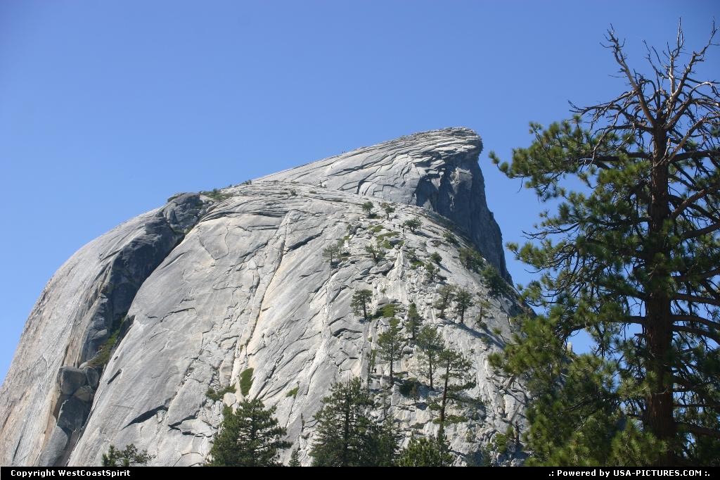 Picture by WestCoastSpirit:  California Yosemite Half Dome yosemite, hike, extreme, climb